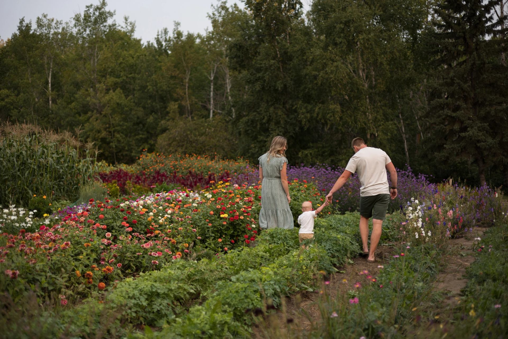 Three people walk through a lush garden filled with colorful flowers and greenery.