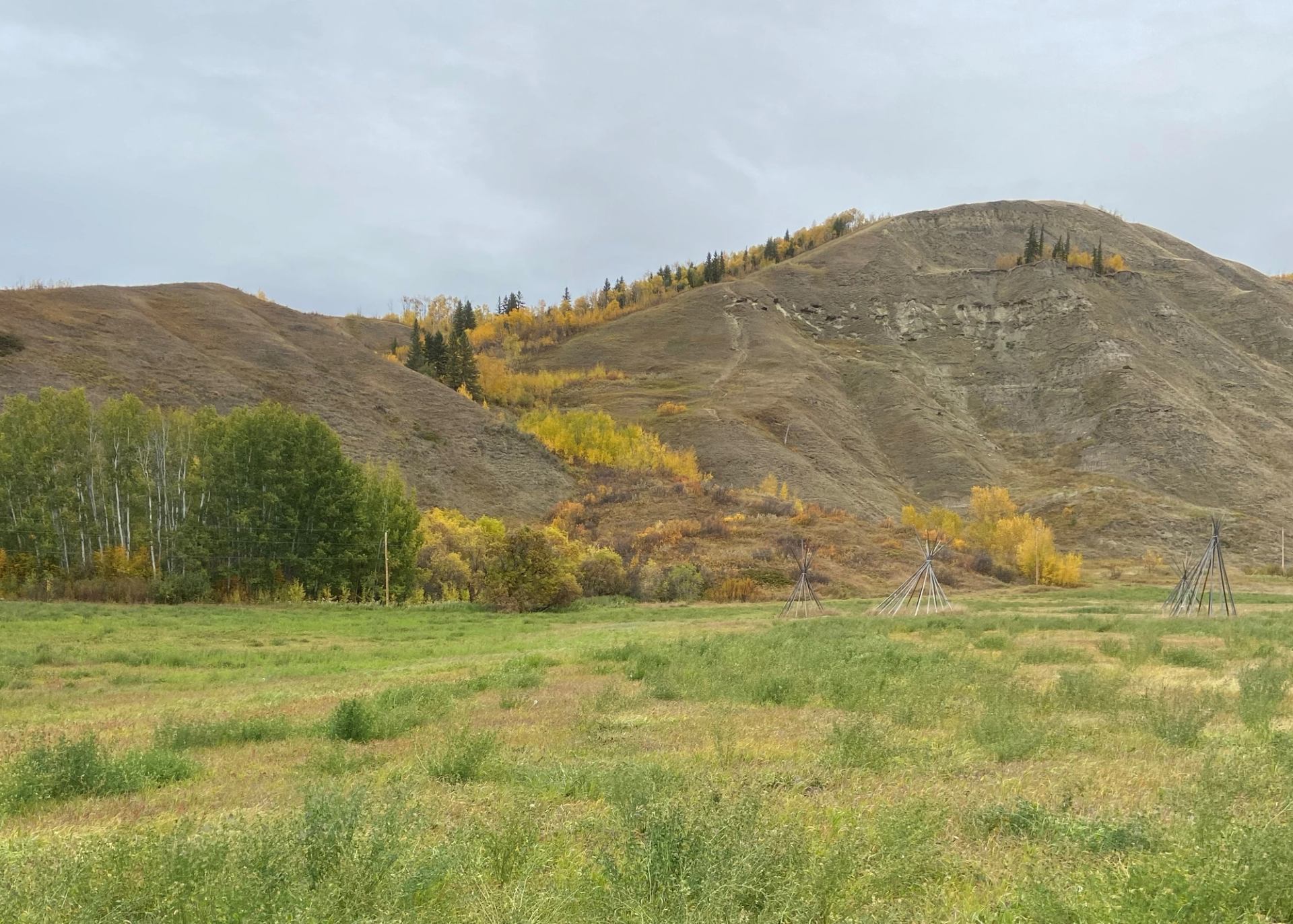 Rolling hills with autumn trees and several wooden tipi frames in a grassy field.