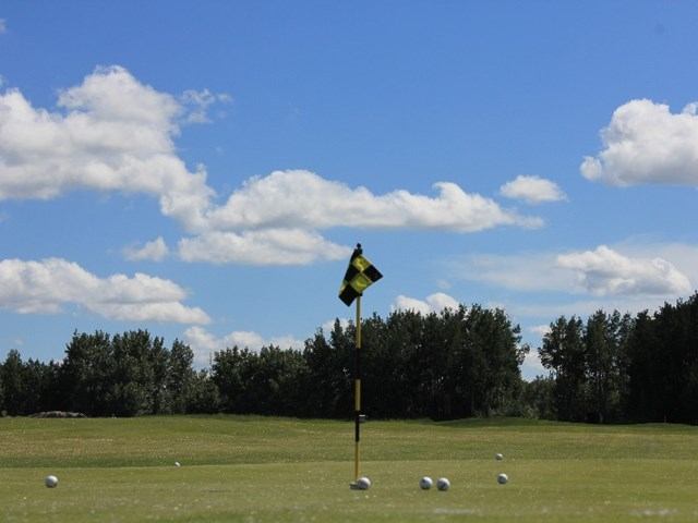 Golf green with flagstick, scattered balls, and trees under a blue sky.