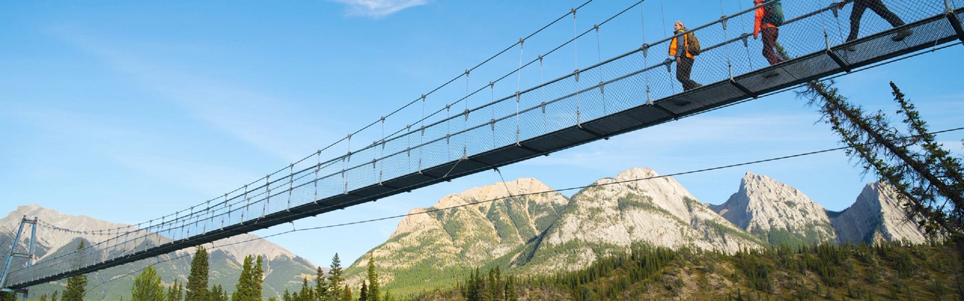 Suspension bridge with hikers above forested valley and rocky mountain peaks in background.