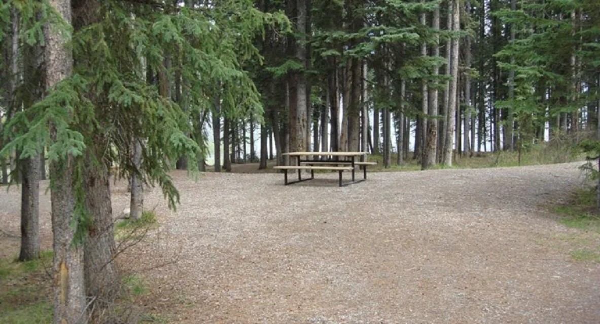 A campsite with a picnic table