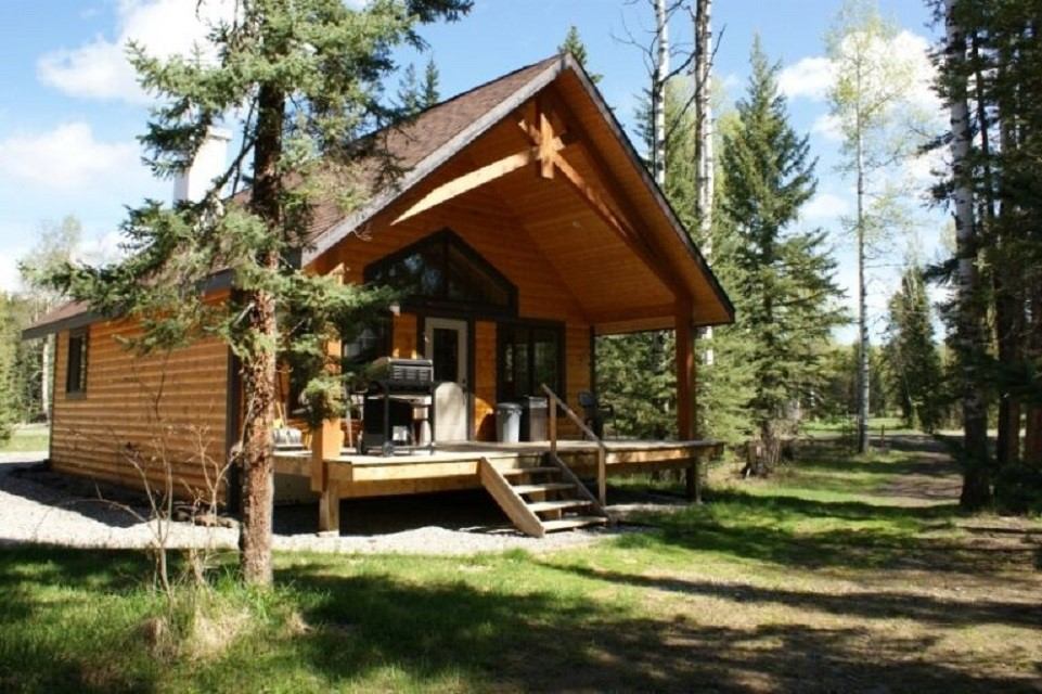 Forest cabin with porch, grill, and lush greenery in a serene natural setting.