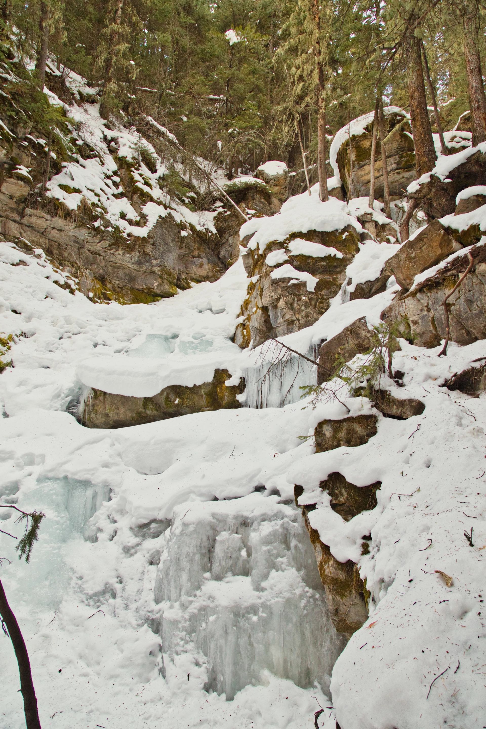 Layered frozen waterfall surrounded by snow-covered rocks and trees on Troll Falls Trail.