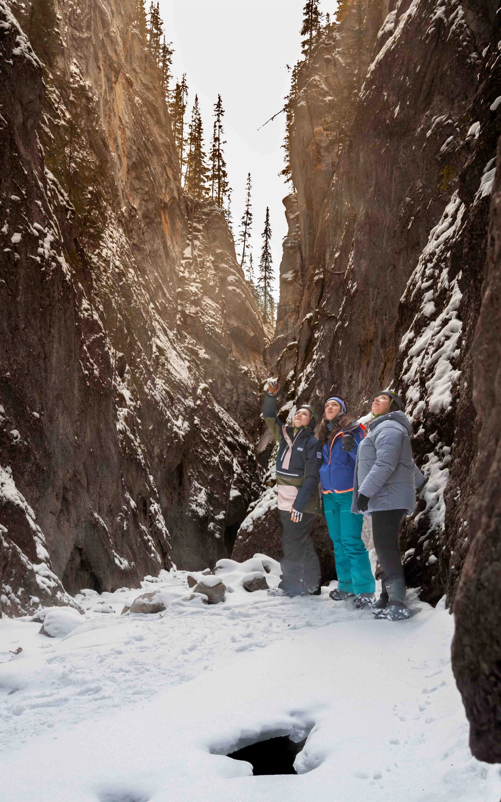 A group on a a guided icewalk through Pleckaitis Canyon