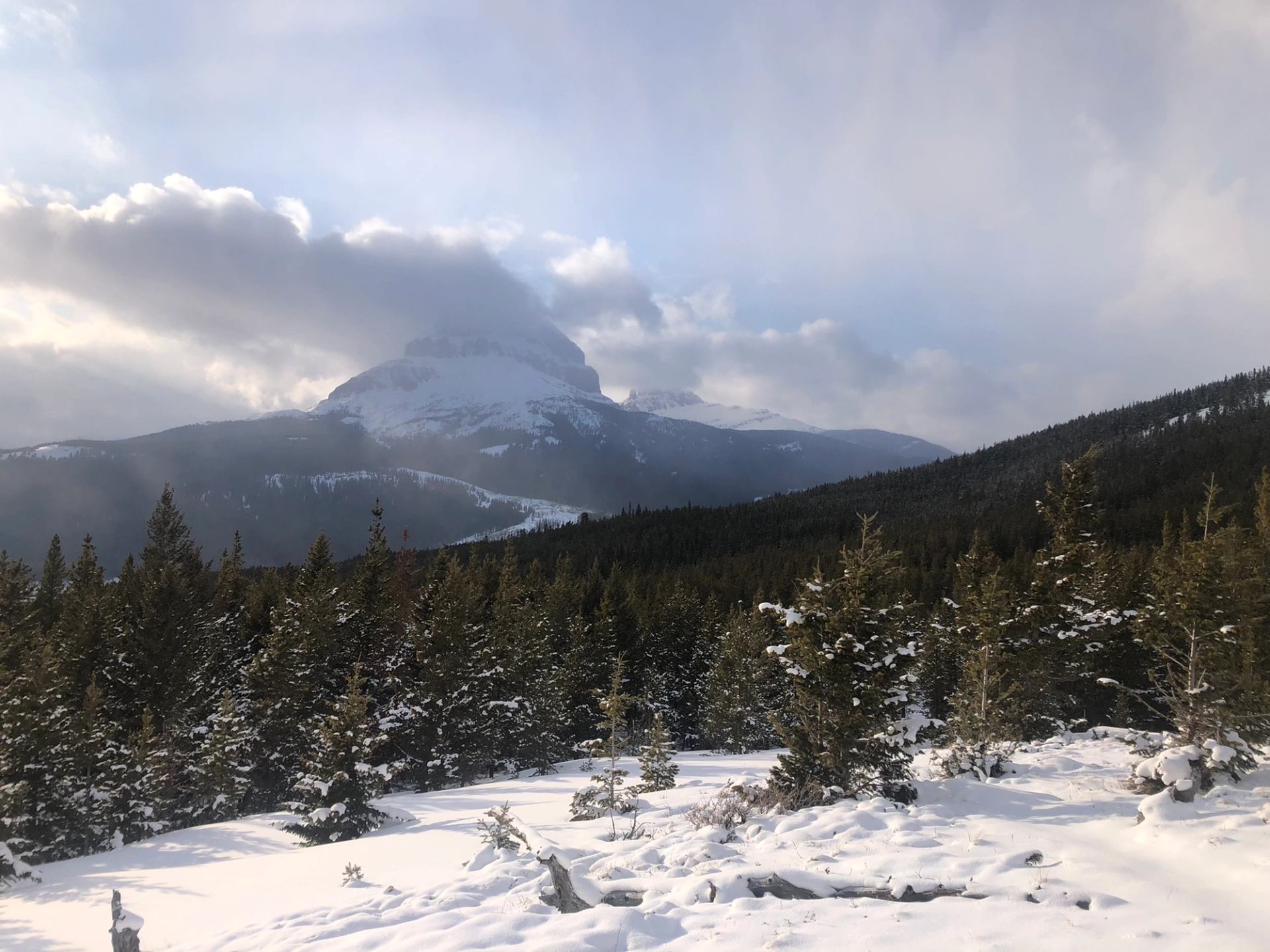 Snow-covered forest with distant mountain peak under a cloudy sky at McGillivray Ridge.