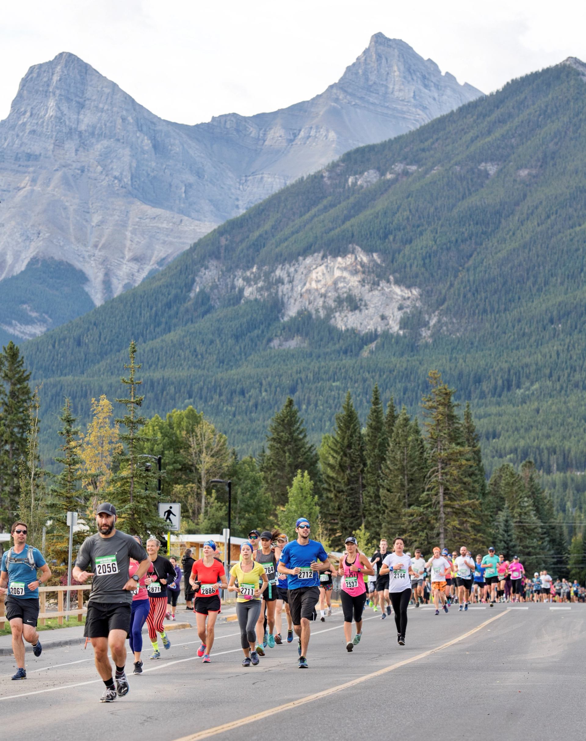 Runners in a road race with Canmore mountains and forested slopes in the background.