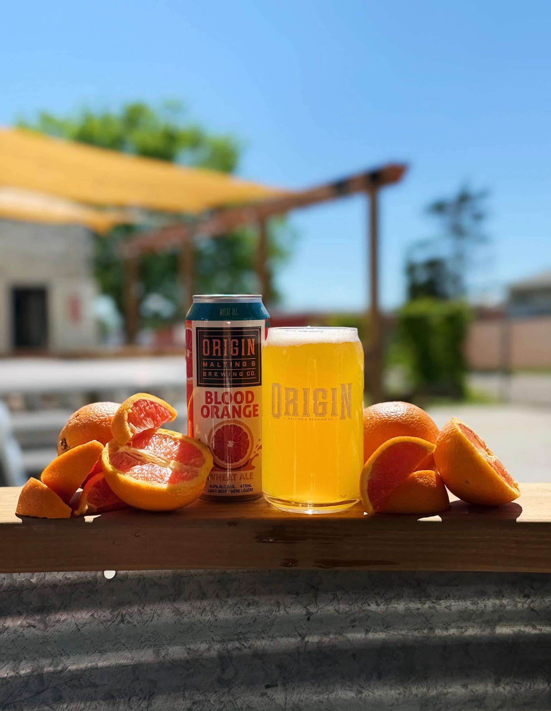 A glass of golden beer and a can are surrounded by sliced oranges on an outdoor patio table.