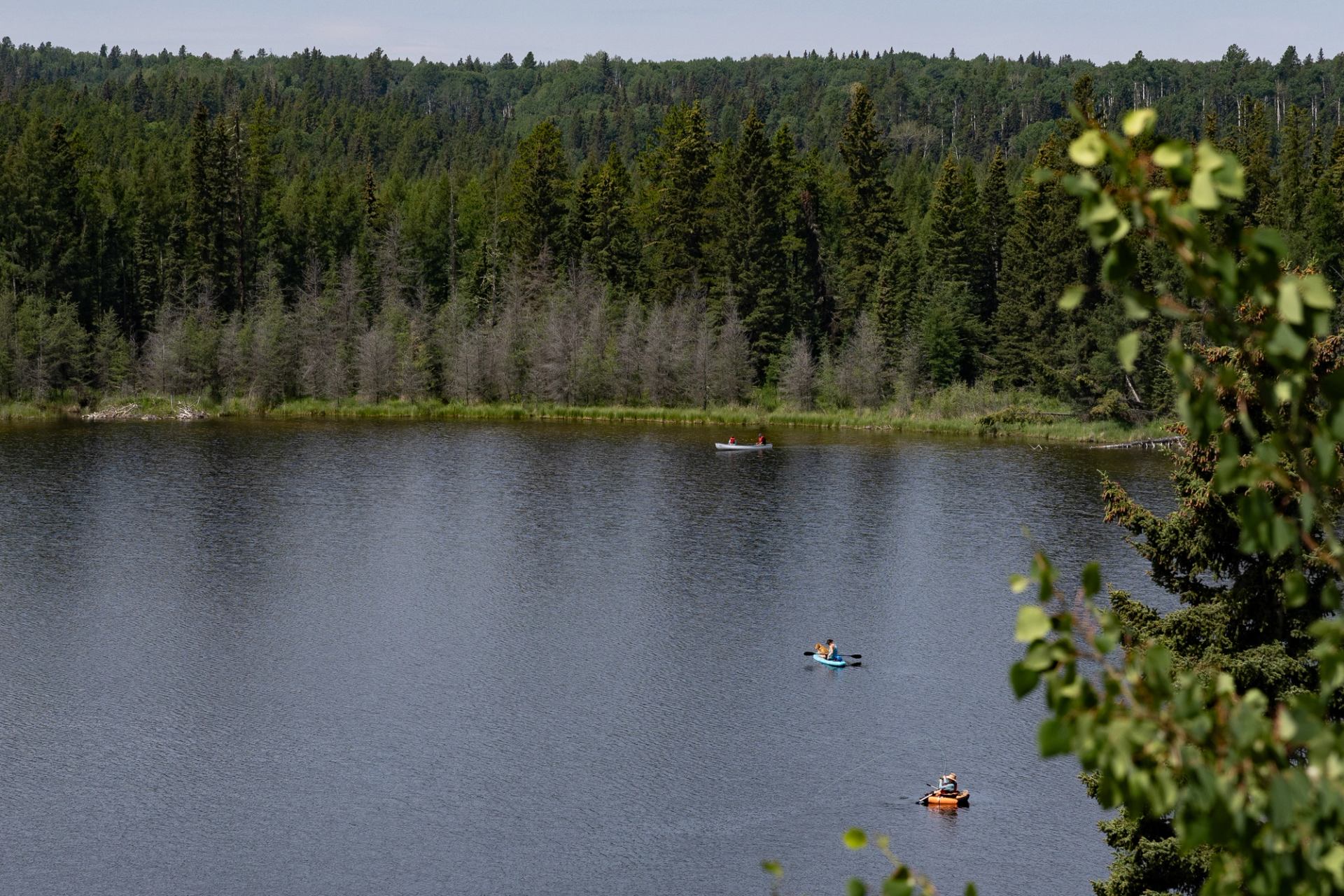 Small boats on calm lake surrounded by dense forest.