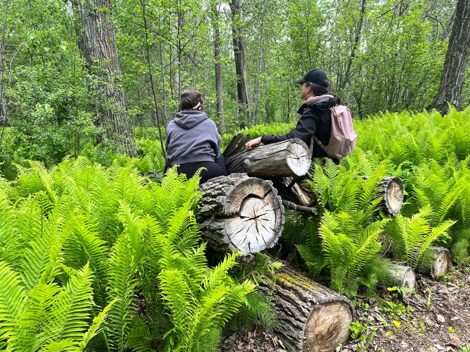 Two people wandering through the forest