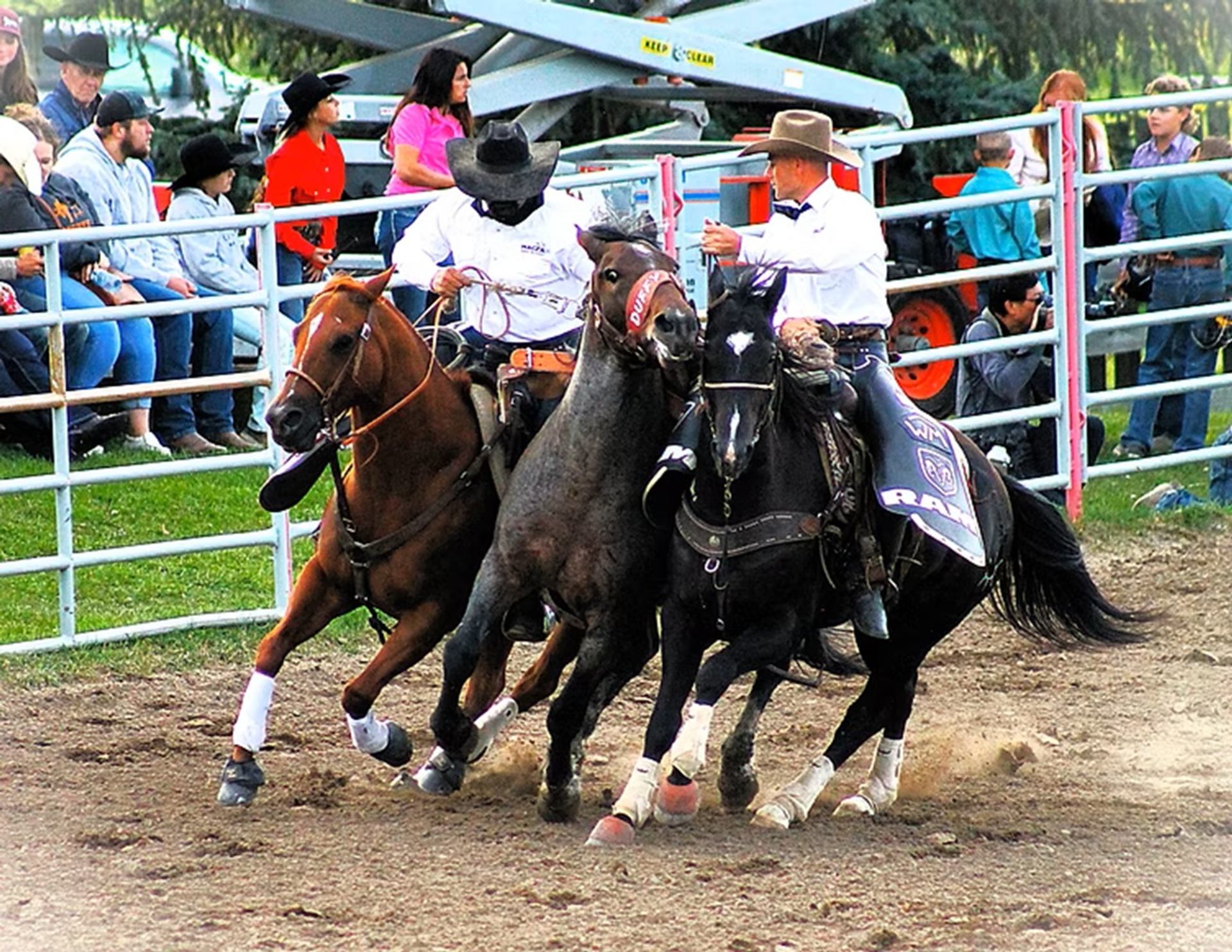 Rodeo riders steer three galloping horses in an arena as spectators watch from bleachers.
