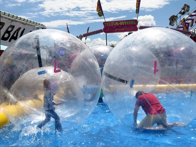 Two people inside large inflatable water bubbles floating on a blue pool at the midway.
