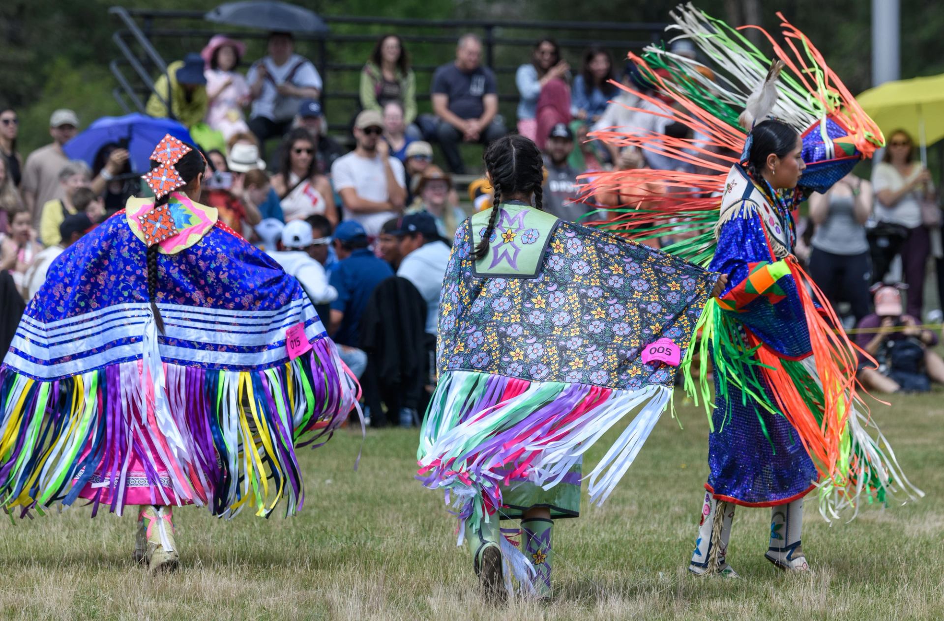 Powwow dancers in colourful regalia perform on grass while a seated crowd watches.