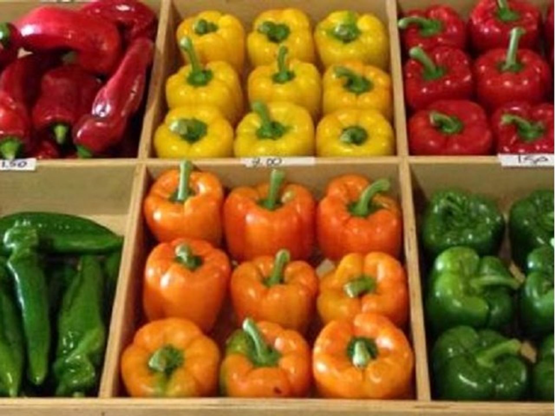 Taber Farmers' Market | Canada's Alberta thumbnail