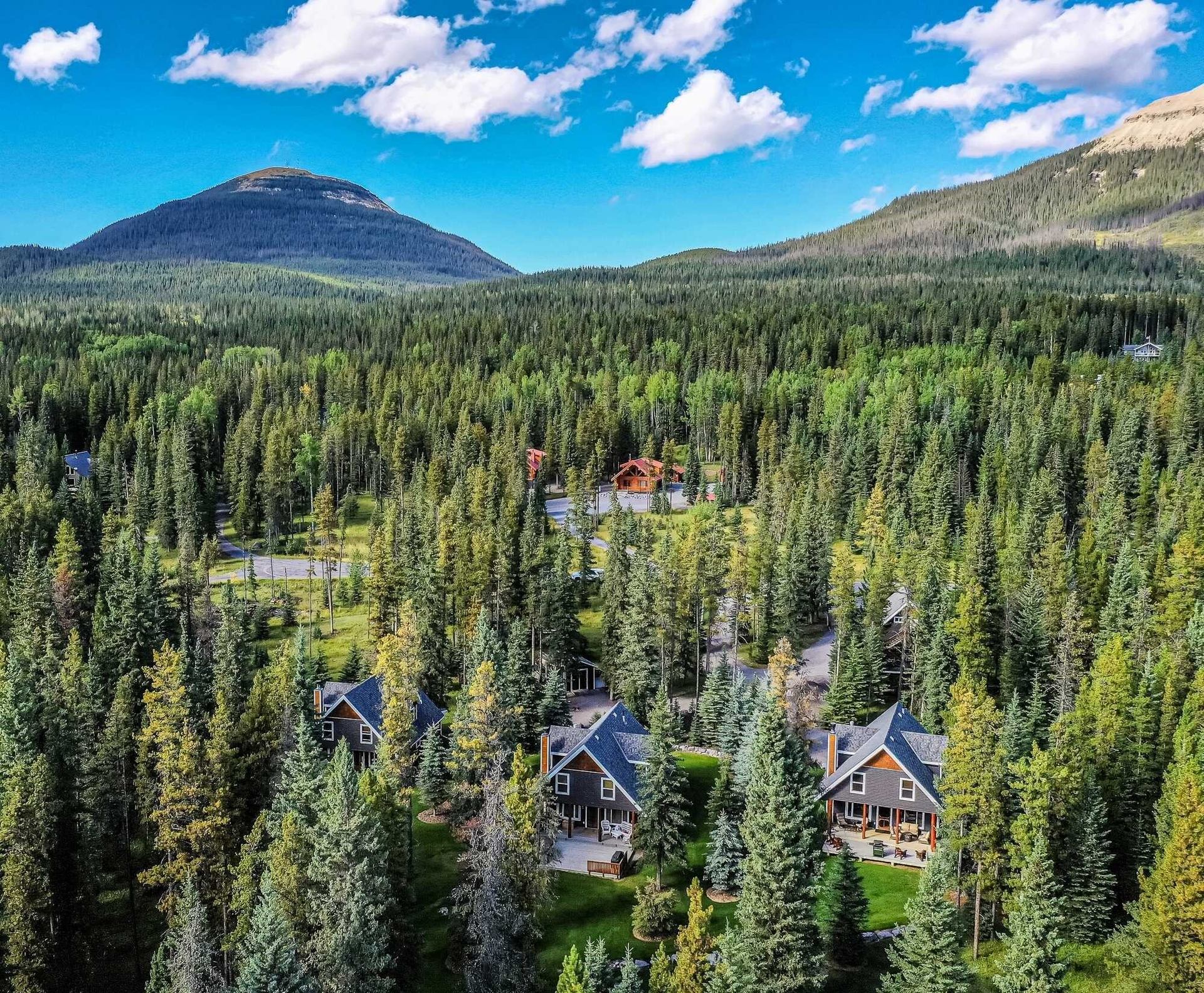 Aerial view of three cabins and a loft surrounded by forest with mountains beyond.