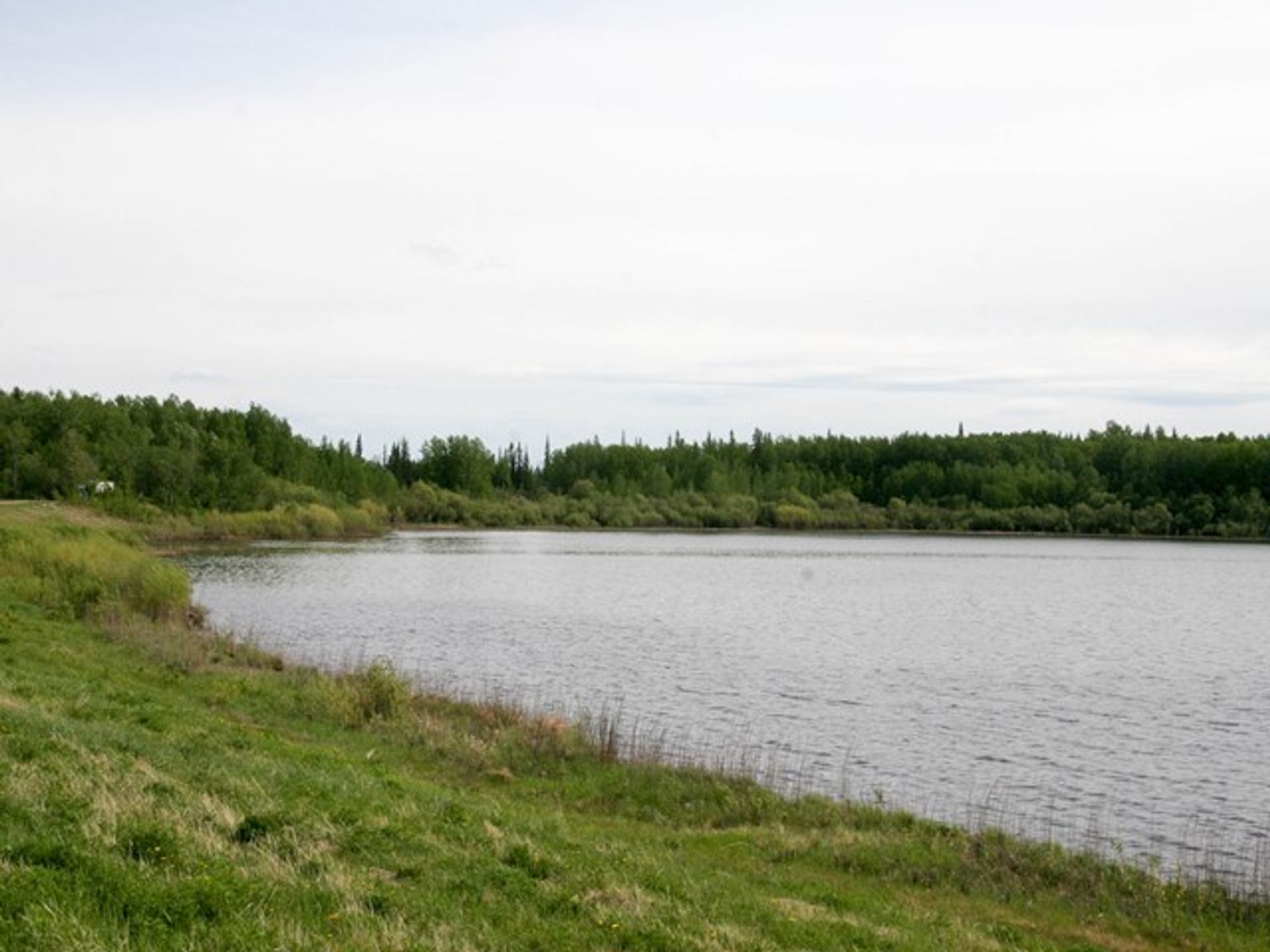 The shoreline along the South Heart River reservoir at Heart River Dam Provincial Recreation Area.