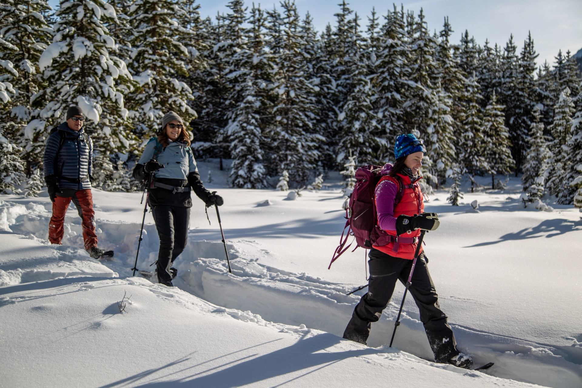 Group walking in single file on a snow-covered trail with evergreen trees all around