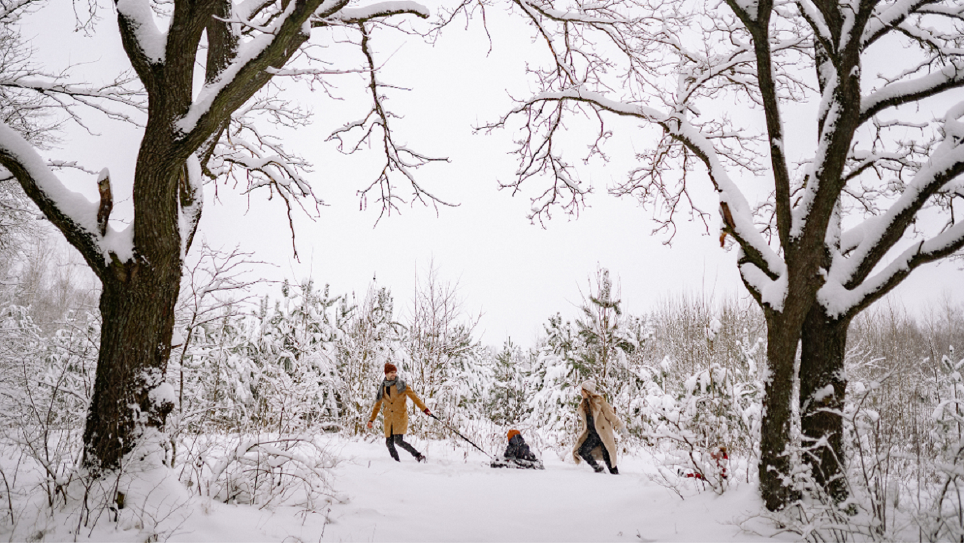 Two adults pull a child on a sled through a snowy forest.