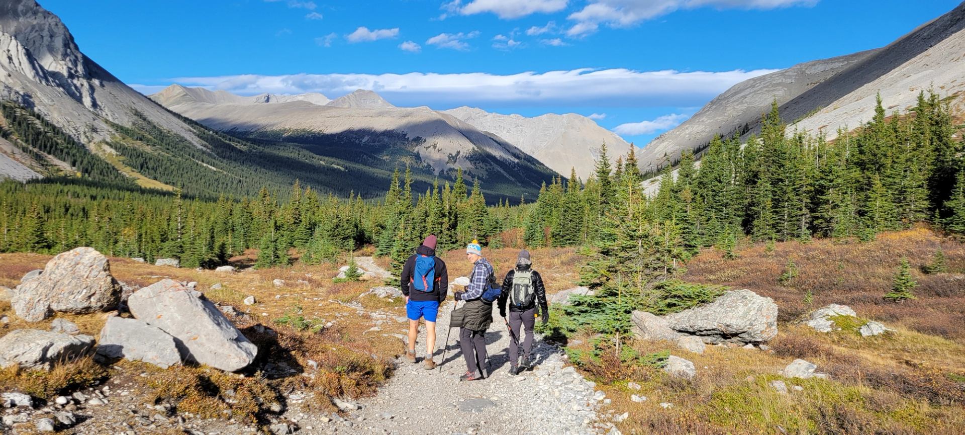 Hikers descend a rocky trail through evergreen forest surrounded by rugged mountains.