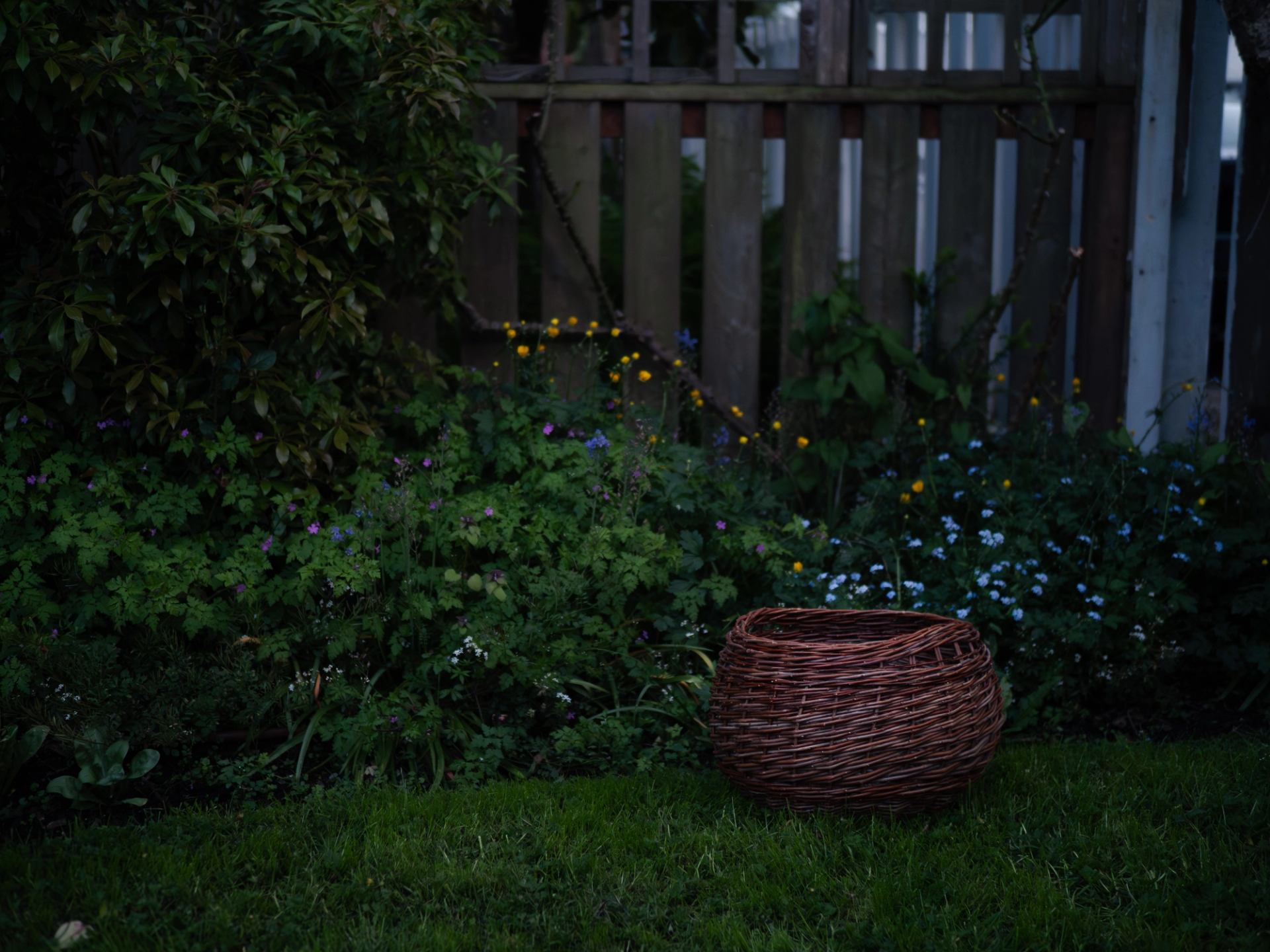 A basket in a garden, with tiny blue and yellow flowers