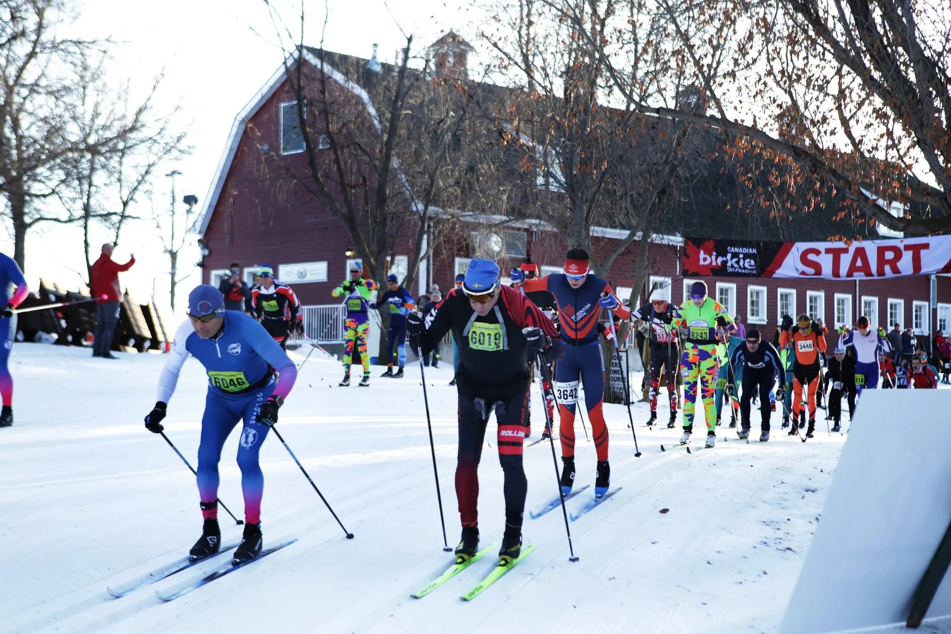Cross-country skiers at race start near red barn with snow-covered ground and trees.