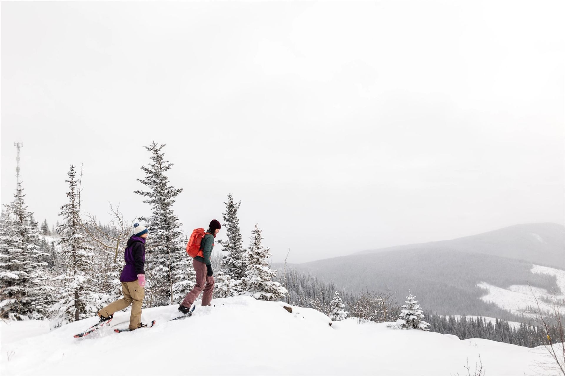 Two hikers on a snowy ridge with pine trees and distant mountains at Athabasca Lookout.