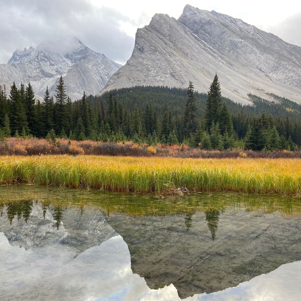 Mountains and trees reflecting on Elbow Lake