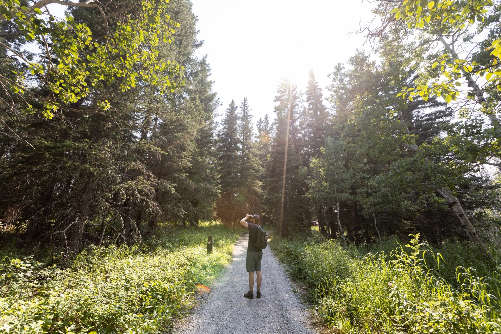 a hiking trail Beauvais Lake Campground.