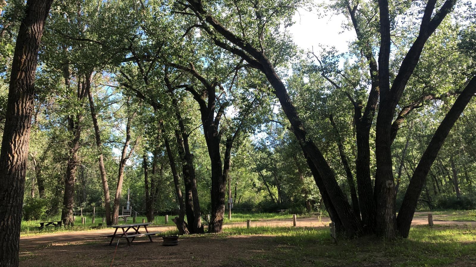 Campgrounds and picnic area at Badlands Campground.
