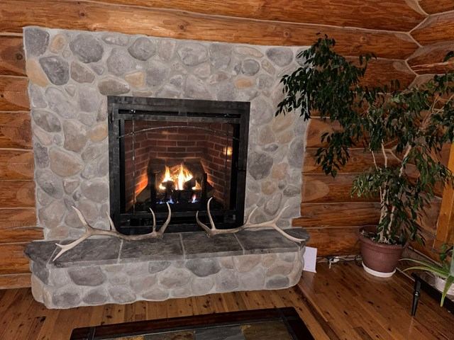 Stone fireplace with lit fire, antlers on hearth, potted plant beside log wall.