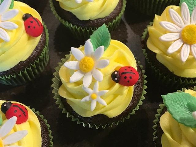 Chocolate cupcakes with yellow frosting, daisies, and fondant ladybugs.