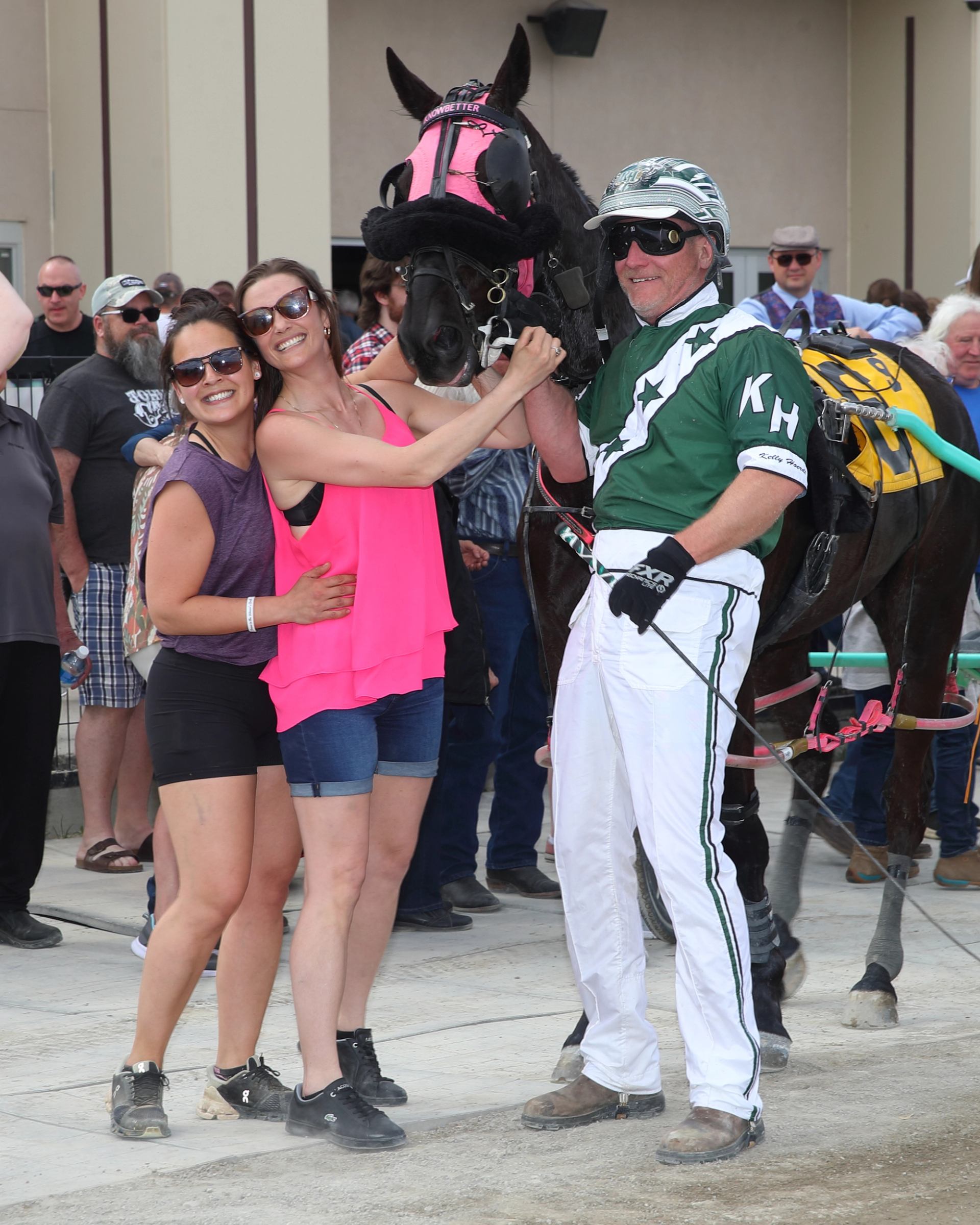 Horse with harness standing near guests and handler at race event