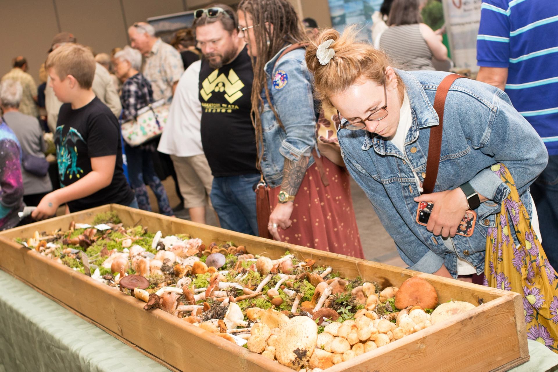 Wild mushrooms on display