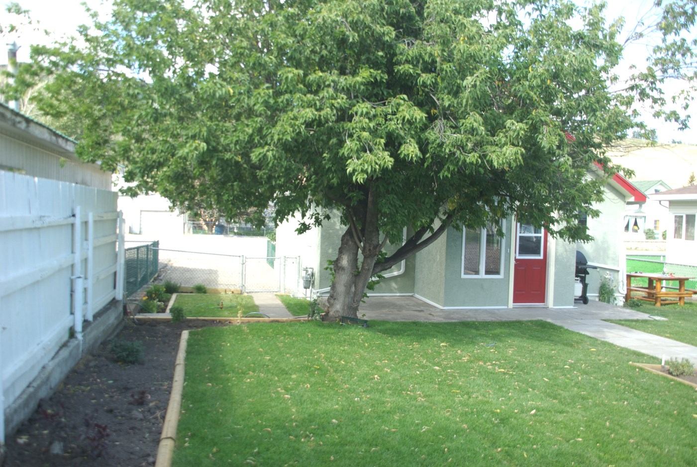 Backyard lawn with large tree, paved path and small house with red door.