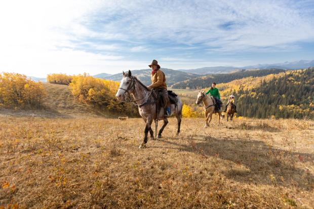 Three riders walking up the hill on horseback while horseback riding in Diamond Valley.