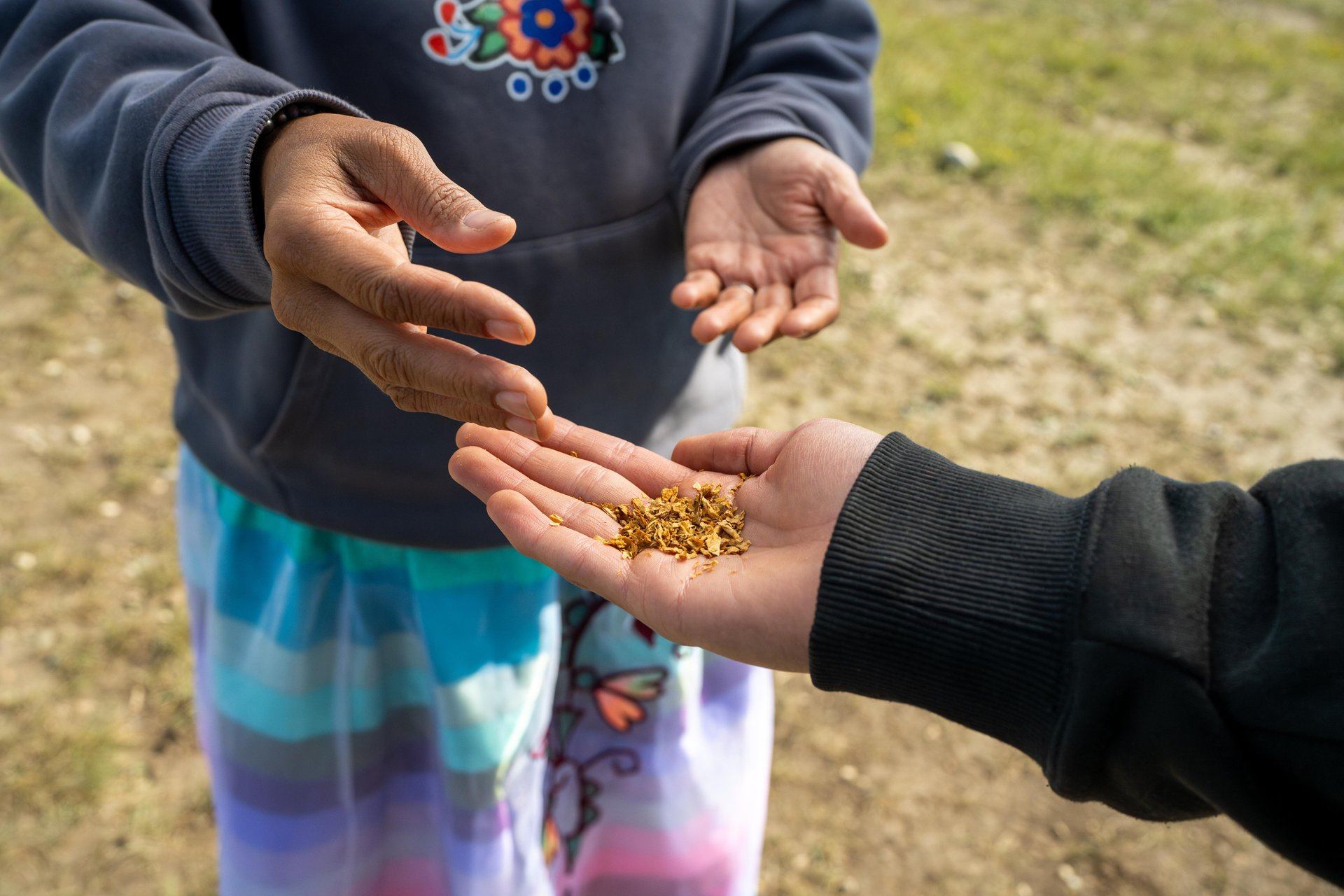 Two people hold dried plant material in open hands during an outdoor workshop.