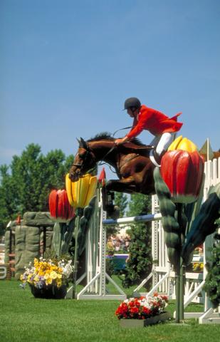 Horse Jumping Competition at Spruce Meadows in Calgary