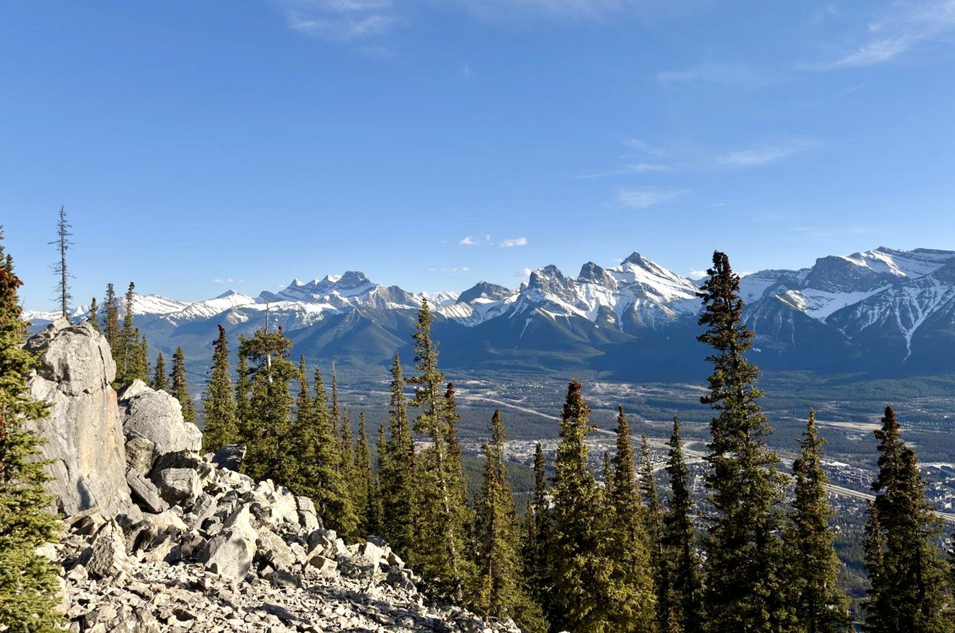 Rocky mountain landscape with evergreen trees, rocky slope and distant snow-capped peaks.