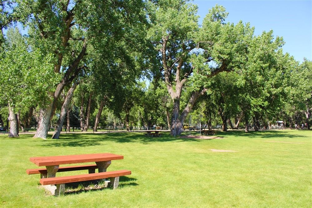 Open grassy area with a red picnic table under tall leafy trees in Taber Municipal Park.