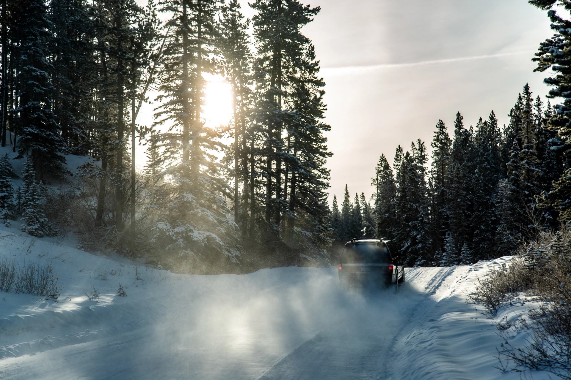 Snowy forest road with sunlight streaming through tall pine trees and mist rising from the ground.