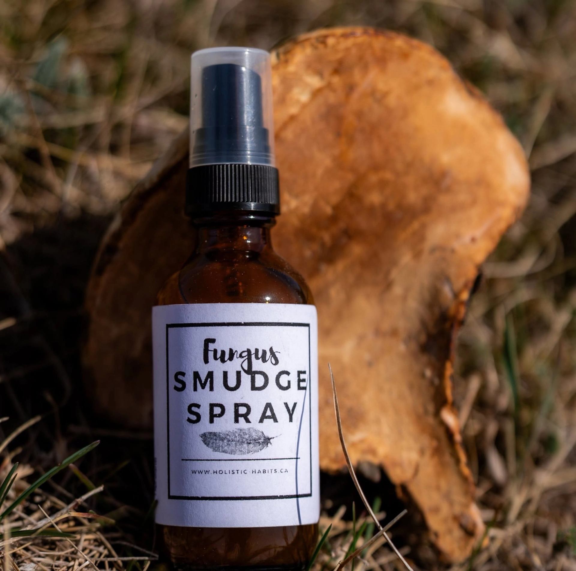 Brown glass bottle of Fungus Smudge Spray standing on dry grass beside large mushroom.