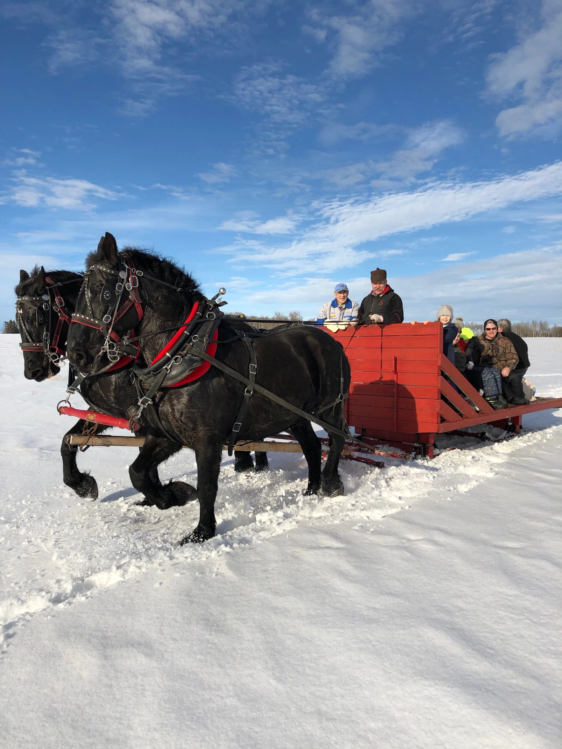 Horse-drawn red sleigh carries bundled riders across snowy field under blue sky.