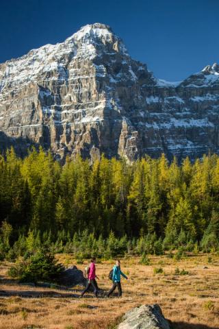 People hiking along a trail through a meadow in the mountains in Larch Valley.