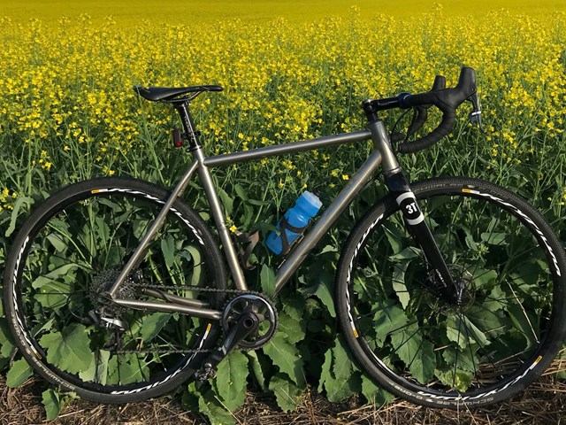 A mountain bike in a field of flowers