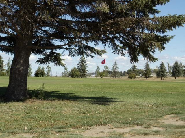 Golf course view with a red flag in the distance under a large tree.