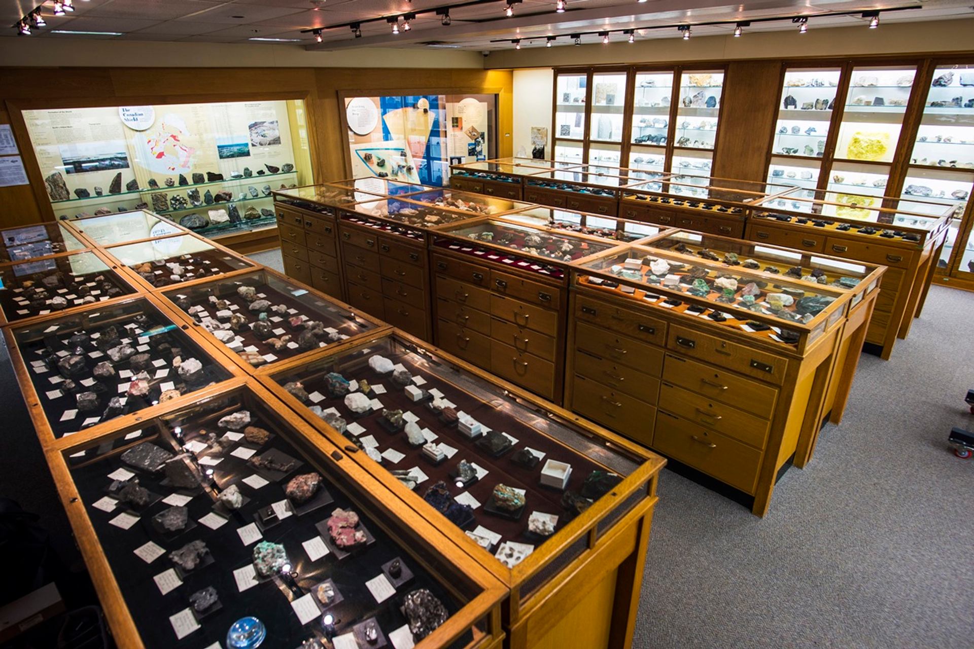 Museum gallery with wooden display cases filled with labelled rocks and mineral specimens.