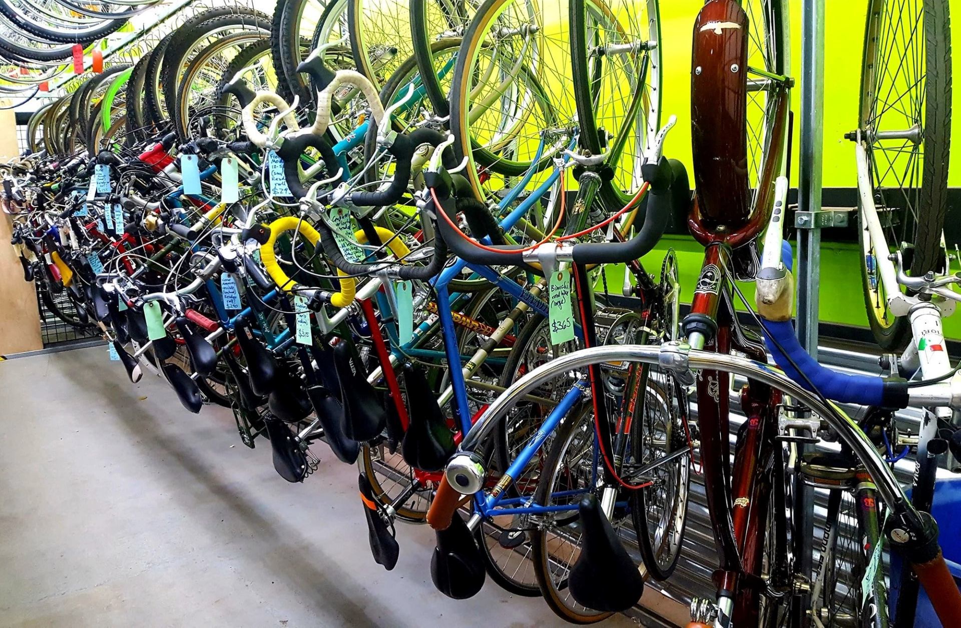 Bicycles of various styles hang neatly in a vibrant bike shop.
