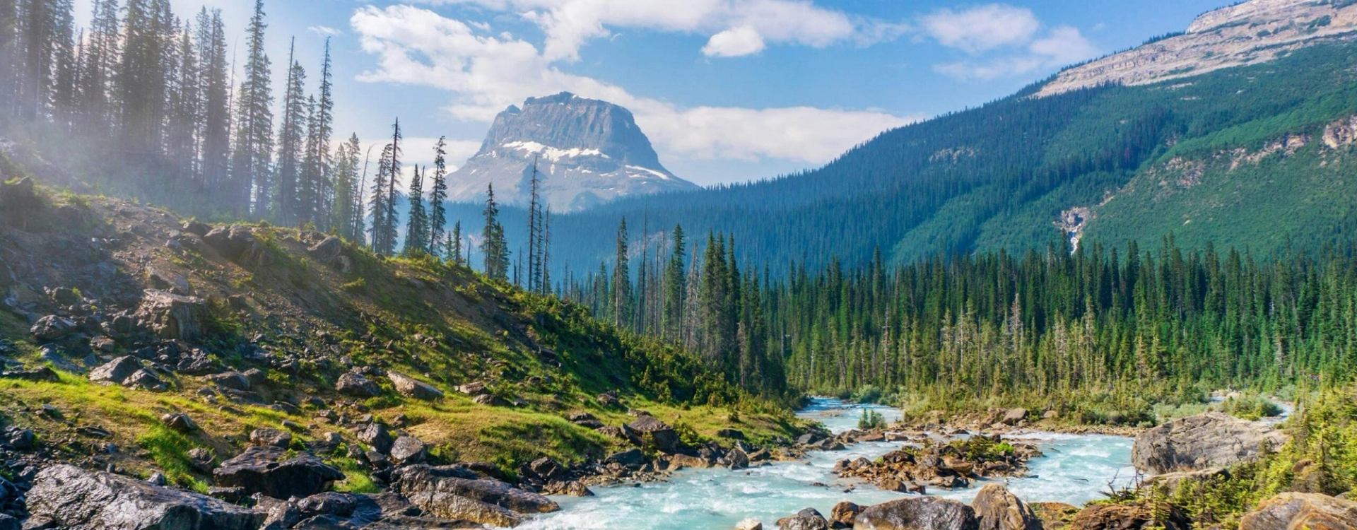 Mountain river winding through a lush alpine valley with evergreen forests and rocky peaks.