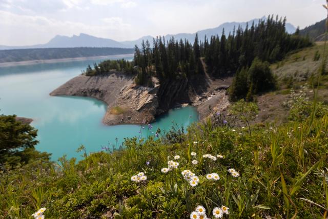 Abraham Lake.