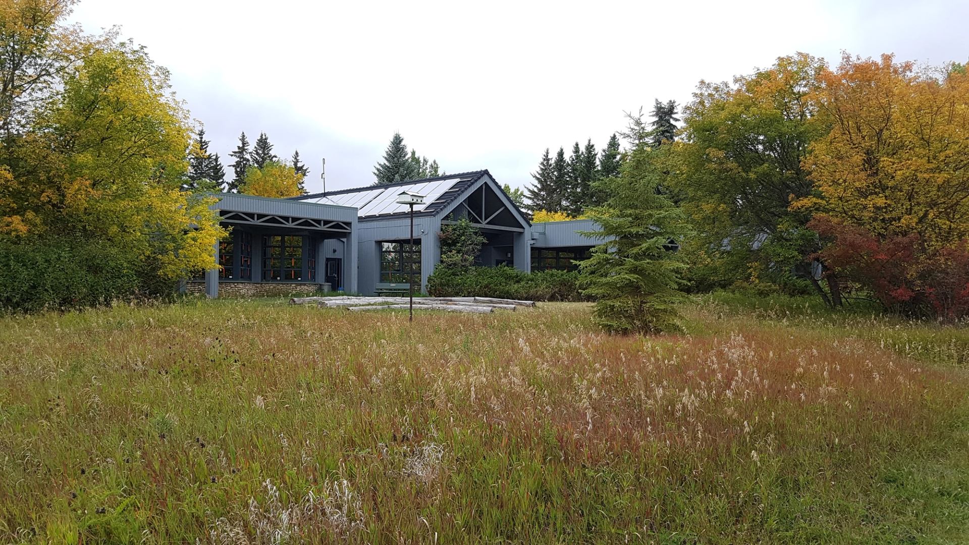 Nature centre with large windows, autumn trees, and wild grass in a forested setting.