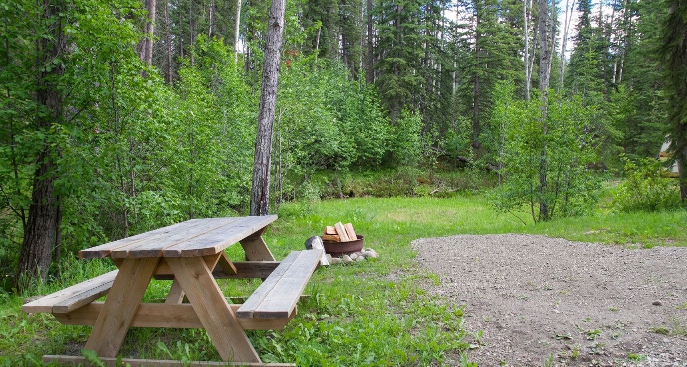 A secluded campsite features a picnic table, fire pit, and gravel pad surrounded by dense forest.